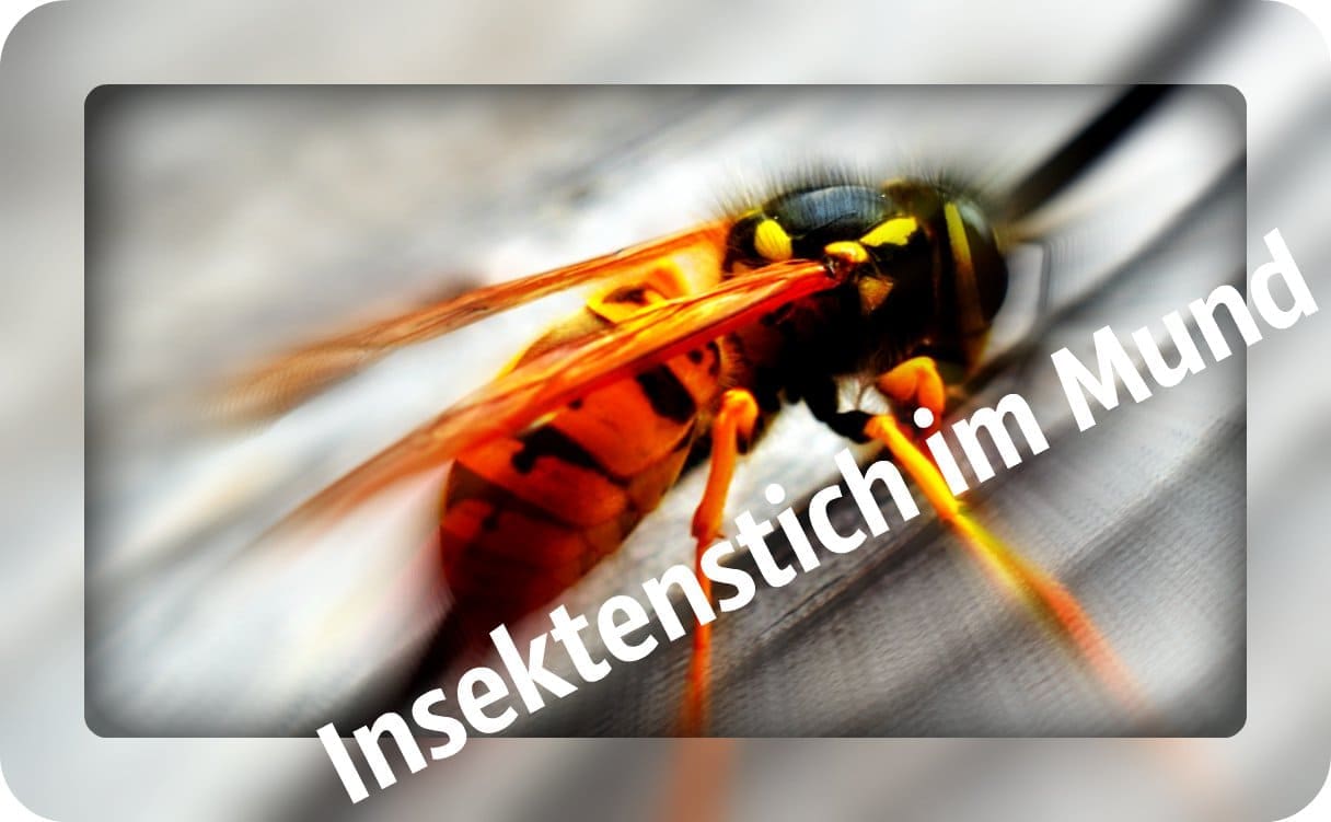 Insektenstich im Mund